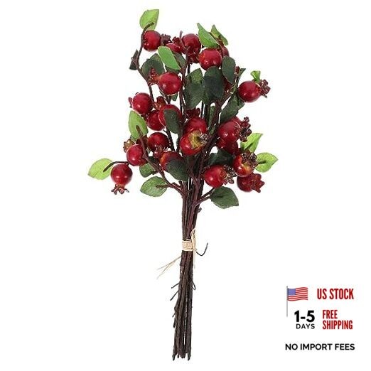 Group of 5 Pomegranate Berries Bouquet Floral Artificial Flowers Pomegranate