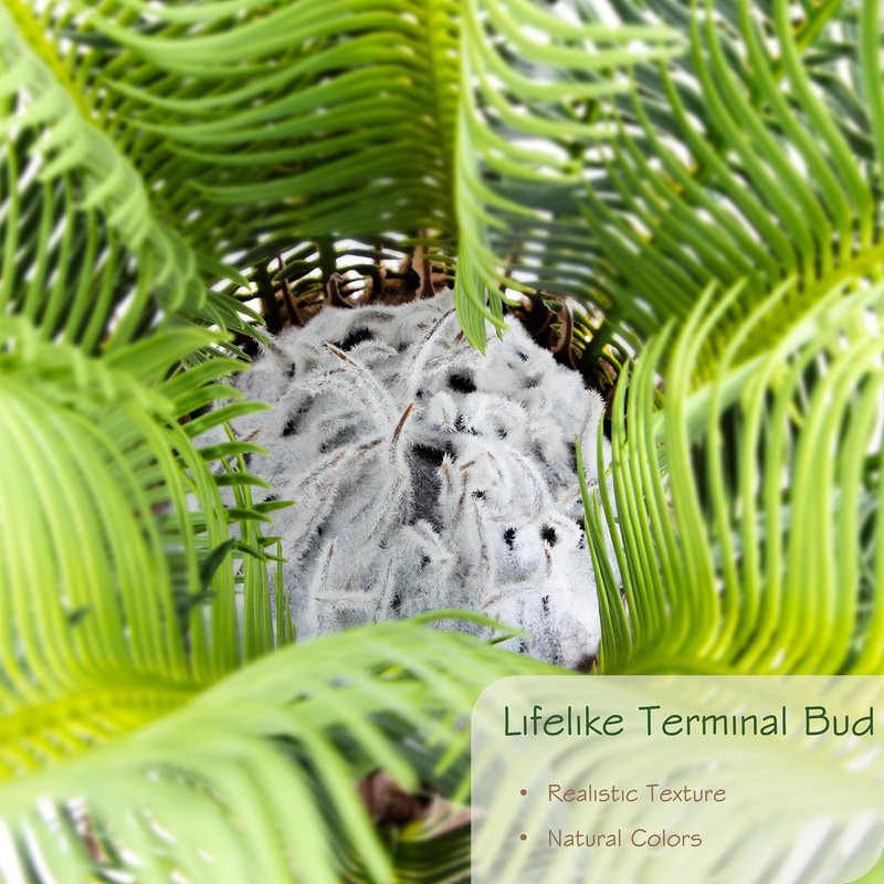 Bellacat 2Ft Artificial Cycad Tree Uv Resistant Lifelike Leaves 24In Super Full gallery