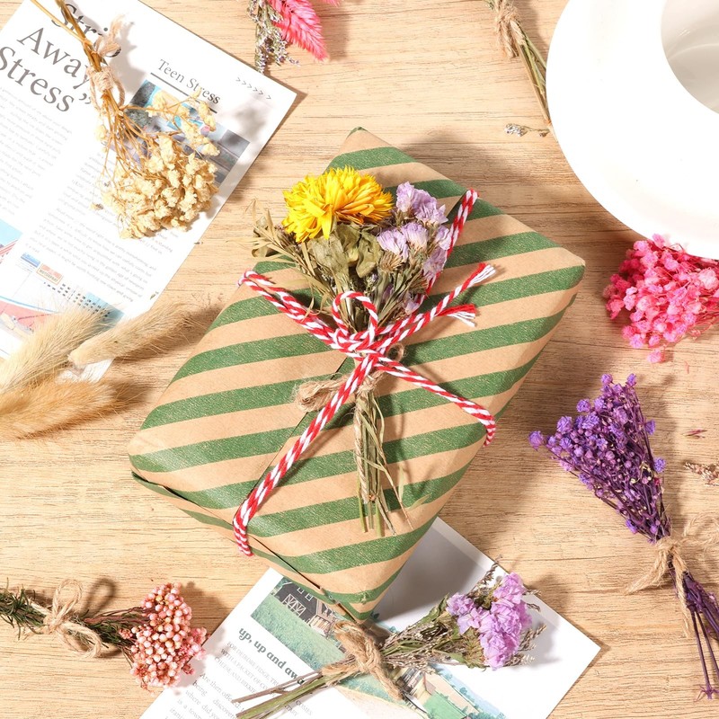 Vaipi 10 Pack Dried Flower Bouquets Various Dried Flower Combinations Stem Mini gallery