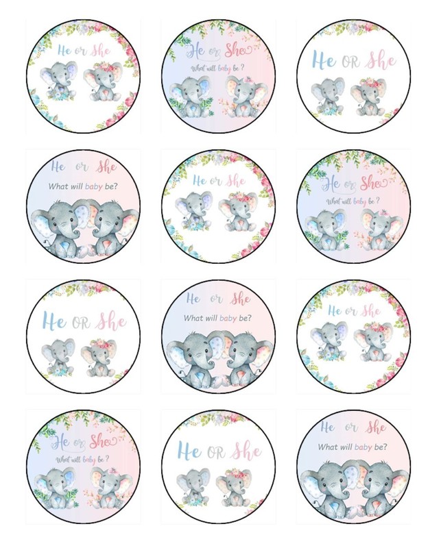 Baby Shower He Or She Cake & Cupcake Toppers Edible Icing Baby Theme Decorations gallery