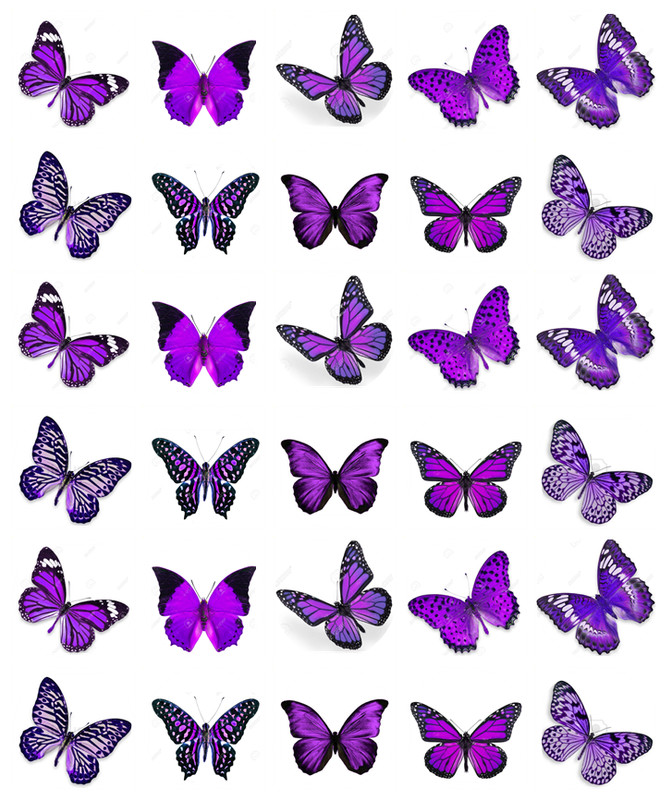 Purple Butterflies 30 Cupcake Toppers Edible Wafer Paper Fairy Cake Toppers