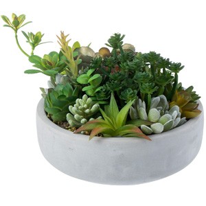 My 8 Inch Round Modern Artificial Succulent Arranment Potted in Gray gallery