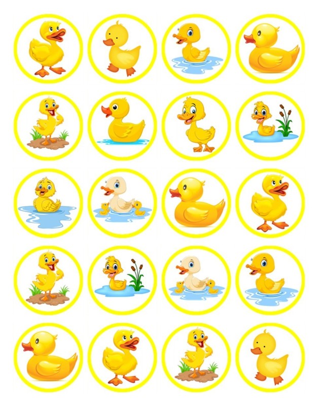 Duck Edible Wafer Cupcake Toppers – Farm Animal Birthday Cake Decorations