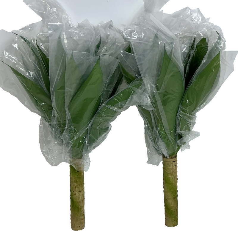 Velener Artificial Agave Plant Set,18 Inch, Faux Aesthetic Plants for Home Decor gallery