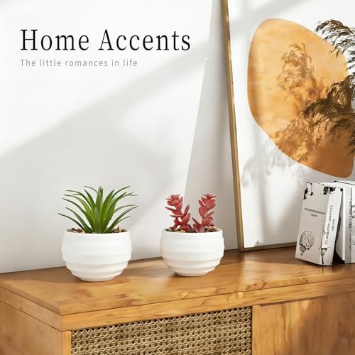 6-Pack Mini Artificial Succulents in Ceramic Pots,Small Fake Plants for Desk, gallery