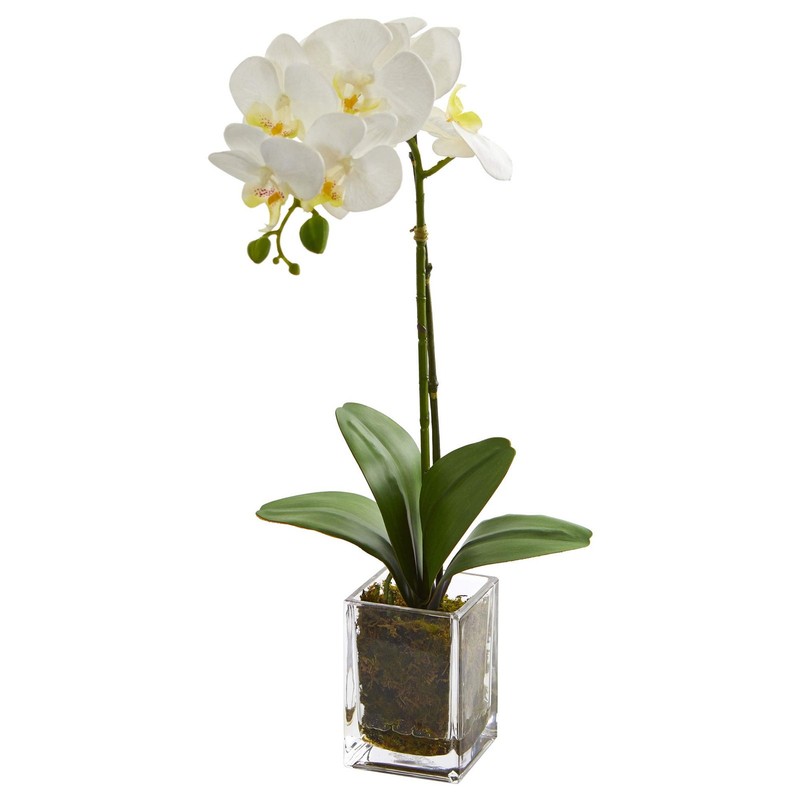 Nearly Natural 20In. Orchid Phalaenopsis Artificial Arrangement In Vase 4309-Cr