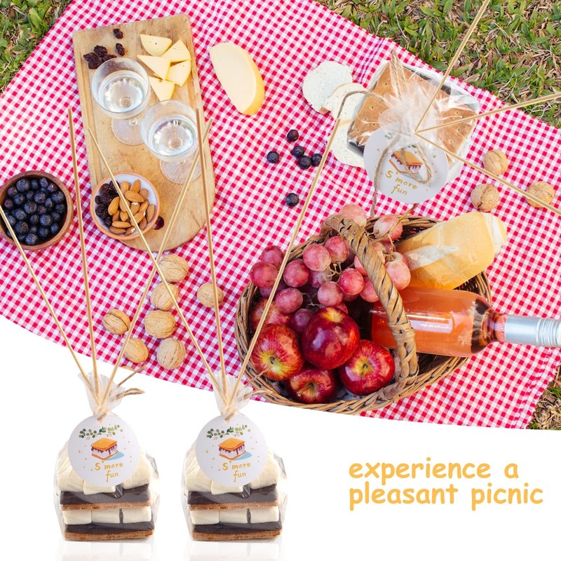 100 pcs S'more Fun Bag set Clear Gusseted Poly Bags with S'mores Fun Tag and ... gallery