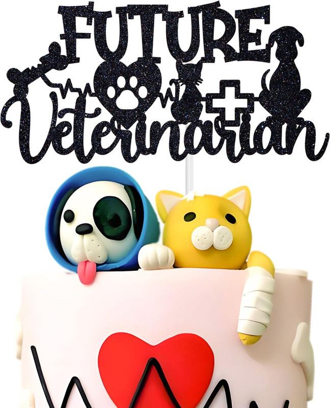 Future Veterinarian Cake Topper, Big Doctor Energy, Congrats VET, Class of 2026