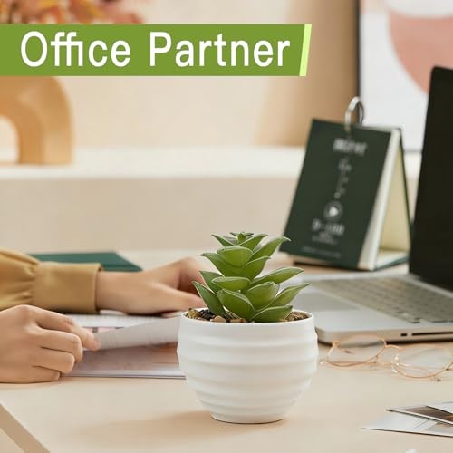 6-Pack Mini Artificial Succulents in Ceramic Pots,Small Fake Plants for Desk, gallery