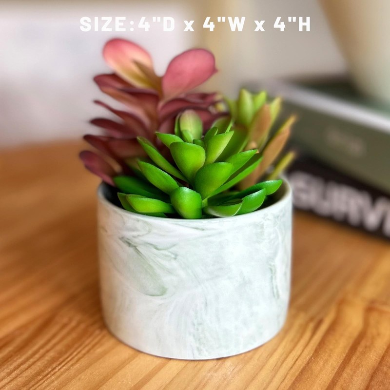 Karlliu Artificial Plants Cute Colourful Succulents in 4x4 inch, Colorful gallery
