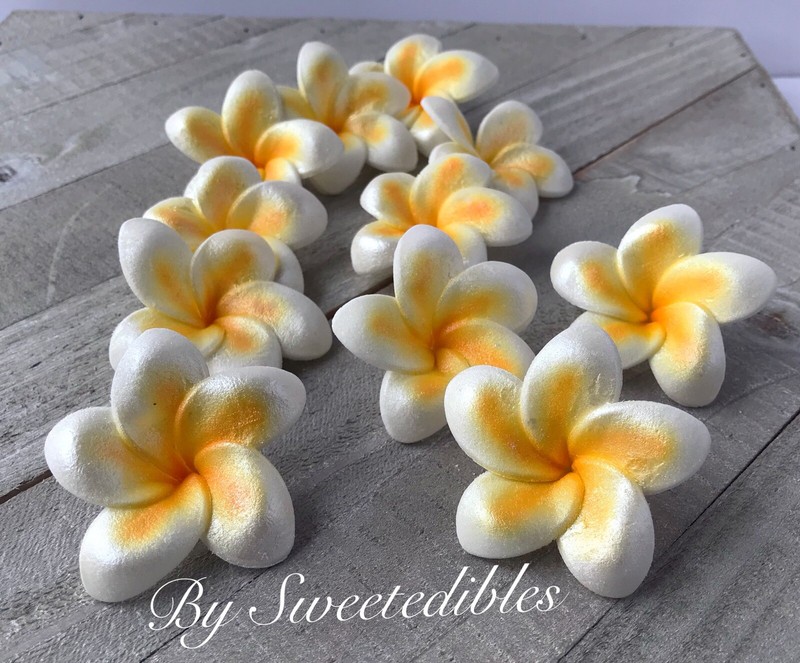 Gum Paste Plumerias Edible Sugar Flowers Cake and Cupcakes Decorations Fondant