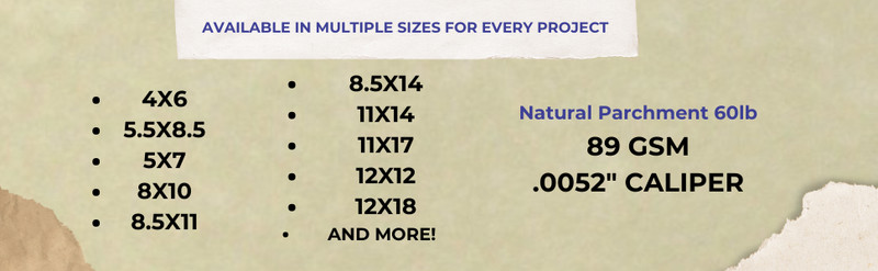 100 Natural Parchment 60# Text (=24# Bond) Paper Sheets - 11" X 17" (11X17 gallery