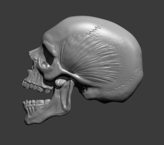 New Small Skull Silicone Mold For Resin, Clay, Cake Topper, gallery