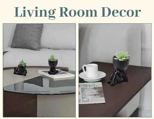 3pcs Fake Succulents Plants Artificial for Black Bathroom Bedroom Home Room gallery