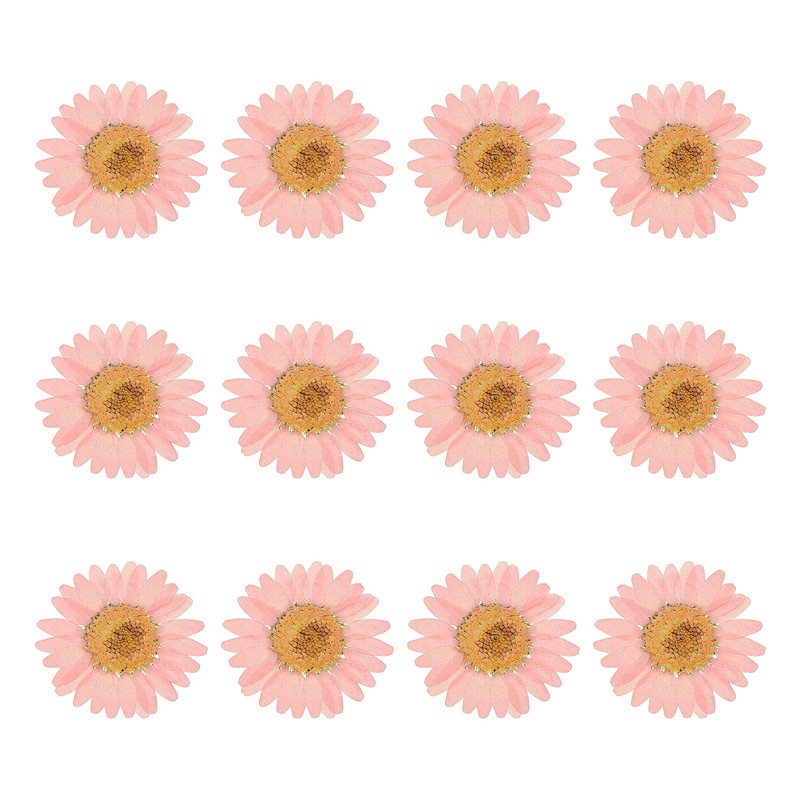 12Pcs Dried Pressed Flowers Chrysanthemum Flowers for Nail Art Pink