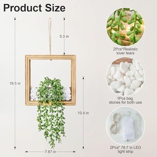 2 Pack Hanging Artificial Succulents Plants String of Tears - Burnt Wood gallery