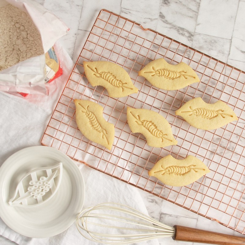 Monarch Caterpillar Cookie Cutter - Butterfly life cycle science biology nature gallery