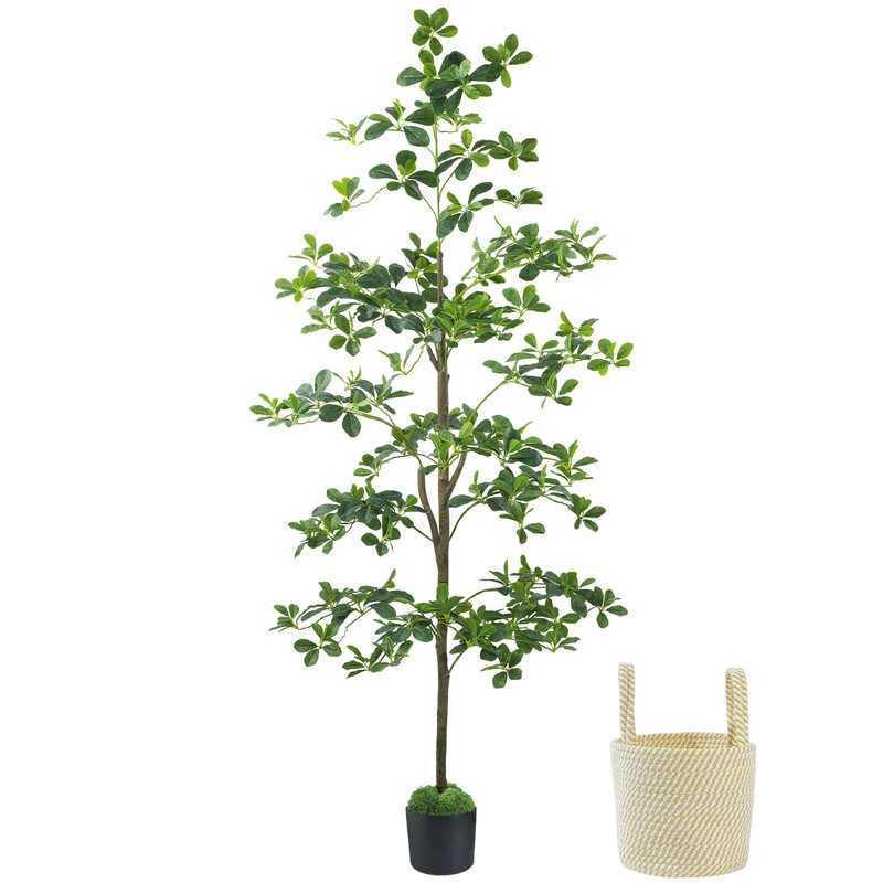 Caxchiling Artificial Black Olive Tree 6Ft Fake Potted Tree For Indoor Outdoor