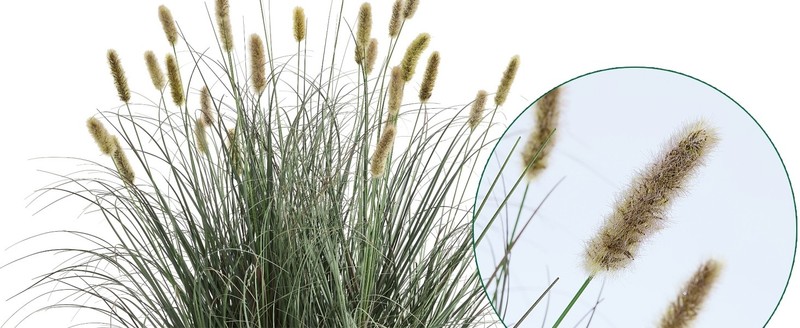 3ft On Grass, Extra Lush Artificial Plant and Greenery, Fake gallery
