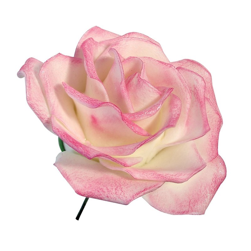 JEM Easy Rose Fondant Cutters, Set of 3, Standard, White gallery