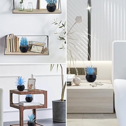 6 Pcs Blue Artificial Succulent Plants in Mini Black Plastic Blue-black Pot gallery