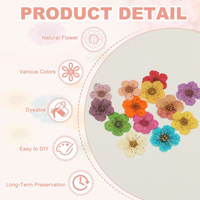100Pcs Dried Pressed Flowers, Narcissus Flowers for Nail Art, Green gallery