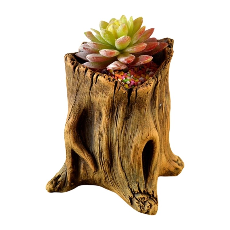 Tree Root Succulents Flower Planter for Home Garden Spaces Indoor & Outdoor Use