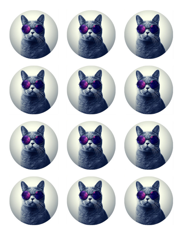 Kittens & Cats Edible Cake & Cupcake Toppers – Icing Birthday Cake Decorations gallery