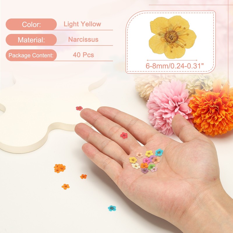 40Pcs Dried Pressed Flowers, Narcissus Flowers for Nail Art, Light Yellow gallery