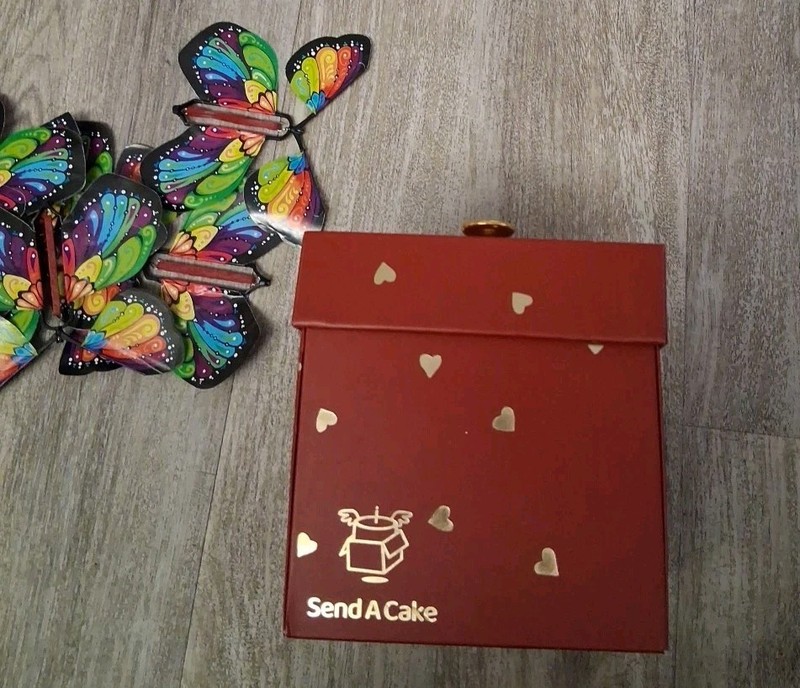 RARE! SEND A CAKE EXPLOSION GIFT BOX W/butterflies ONLY!! CREATE YOUR OWN! B-day gallery