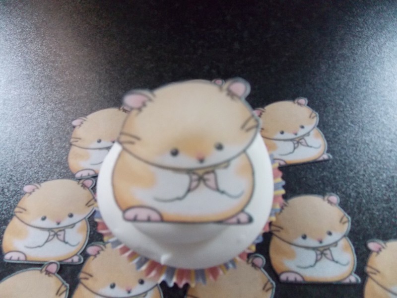 12 PRECUT edible Hamsters wafer/rice paper cake/cupcake toppers gallery