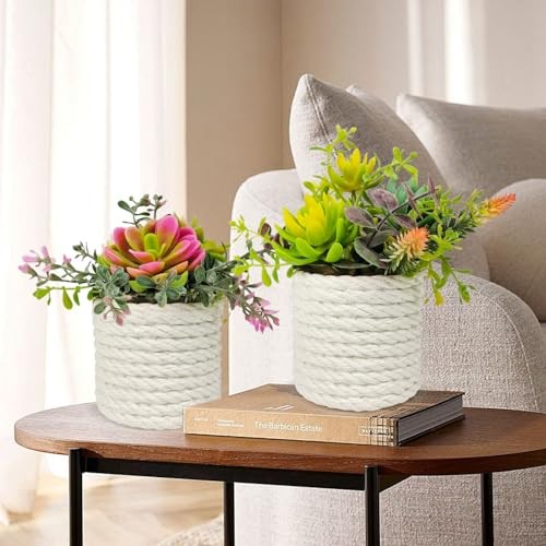 Set of 2 Fake Succulents Plants Artificial Small Succulent Plants Potted Green gallery