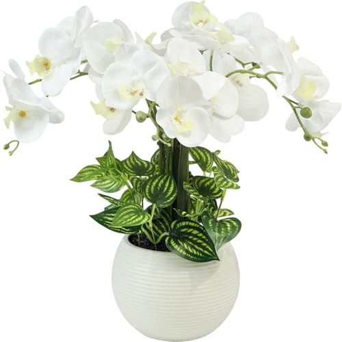 Orchids Artificial Flowers, 18in White Faux Orchid Phalaenopsis Stems with