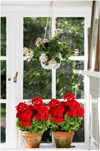 Artificial Geranium Silk Flower Bush Red 19 Inches Faux Geranium Flowers Plant gallery