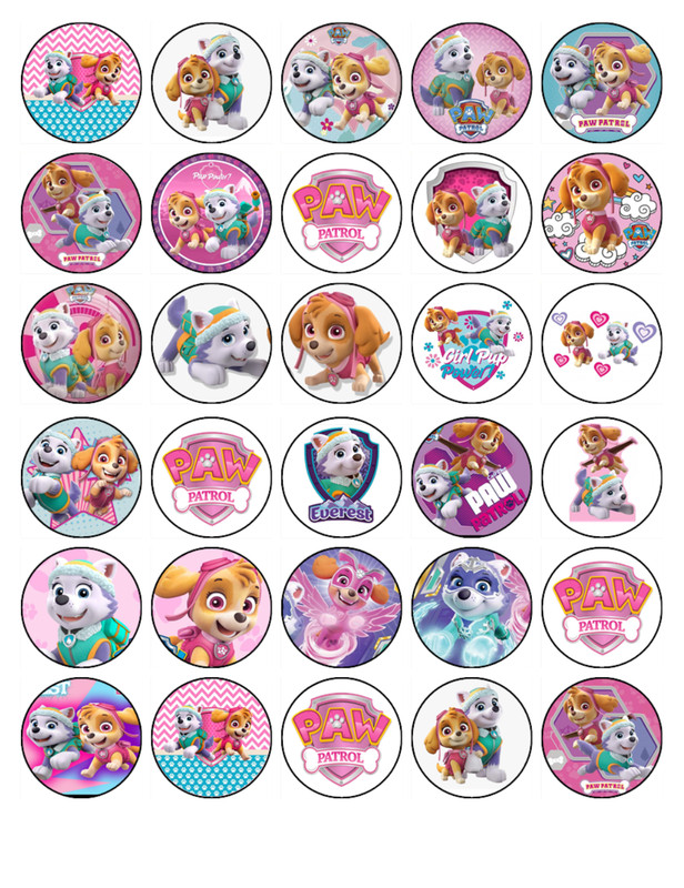 Skye & Everest Paw Patrol Edible Icing Cupcake Toppers Birthday Cake Decorations gallery
