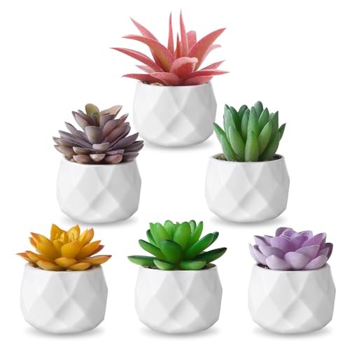 Fake Succulent Plant Set 6 PCS Artificial Succulent Plants for Desk Mix