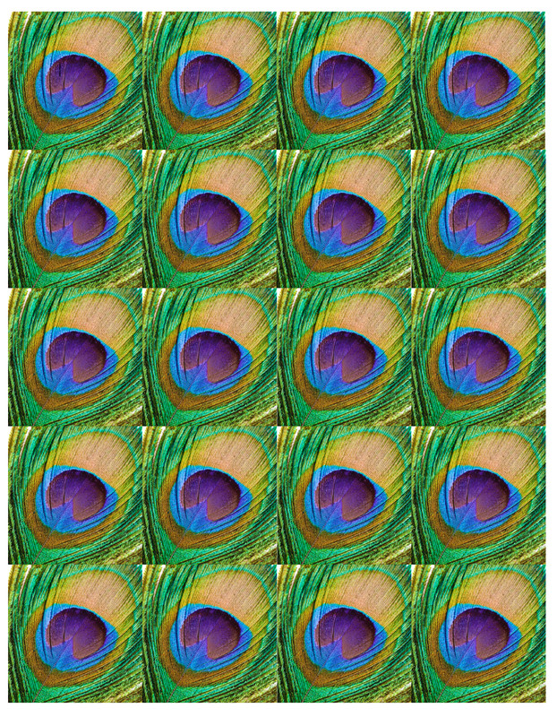 set of 150- 2 inch edible peacock feathers NOT PRE CUT