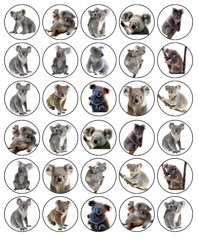 Koala Bear Edible Cupcake Toppers Wafer Australian Animal Decorations (2 Sizes)