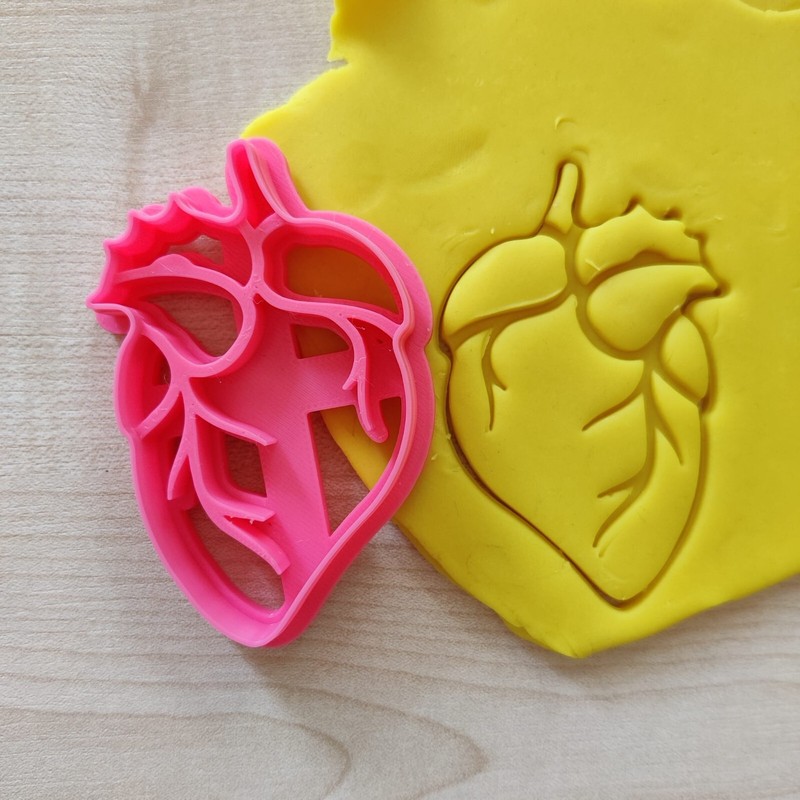 Anatomy Cookie Cutter Set, Medical Student Gift, Halloween Biscuit Stamp Stencil gallery