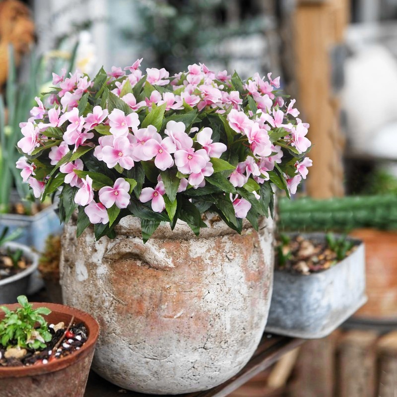 Faicoia 8 Pcs Artificial Impatiens Flowers For Outdoors Faux Impatiens Bushes gallery