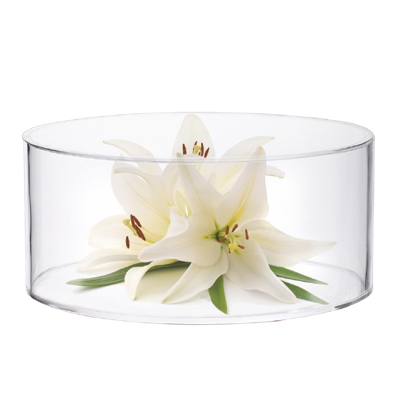 Clear Acrylic Cake Stand: 8 Inch Hollow Bottom Cake Display Stand, Small Roun…