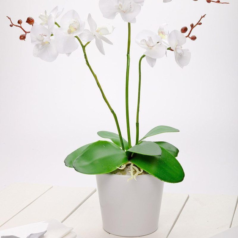 Elegant 12-Bloom White Artificial Orchid - Perfect for Home, Office & Events