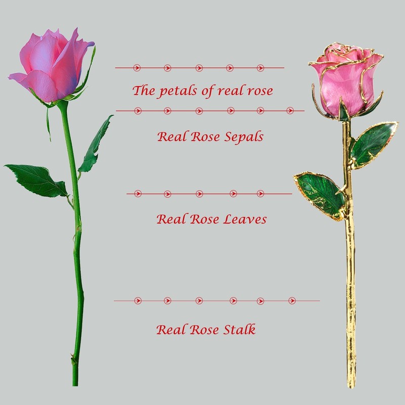 Maxspt Anniversary Rose Gift For Her Gold Dipped Rose Is Attractive Luster And gallery