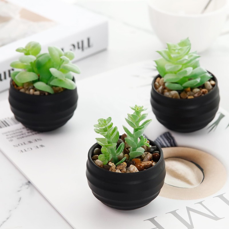 Der Rose 6 Pack Fake Succulents Plants in Black Pots 3.14"H × 2.3"W, gallery