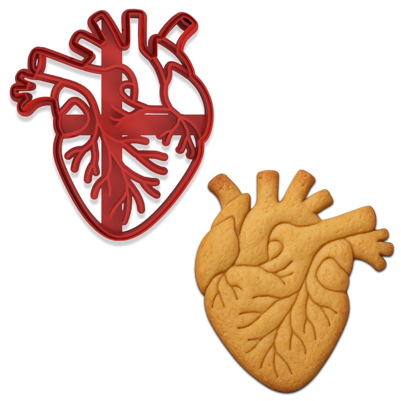Anatomical Human Heart Cookie Cutter & Stamp 4x3.48" for Baking & Fondant Clay gallery
