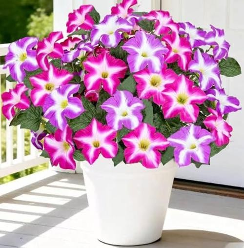 Artificial Outdoor Flowers UV Resistant Faux Petunias Silk Flower Purple Red gallery