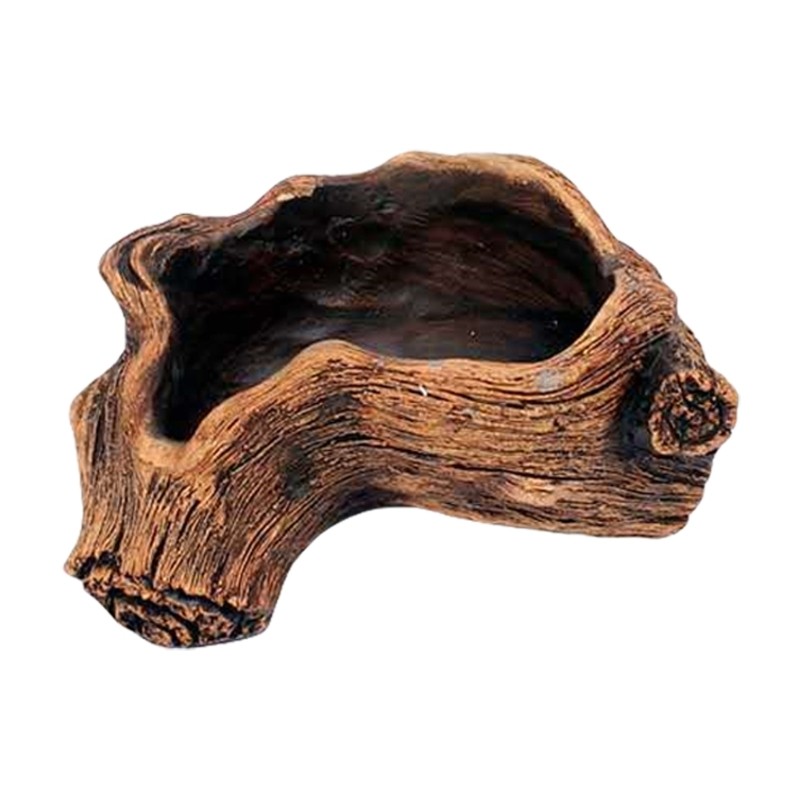 Cement Flowerpots with Tree Root Designs for Creative Office and Home Decoration gallery