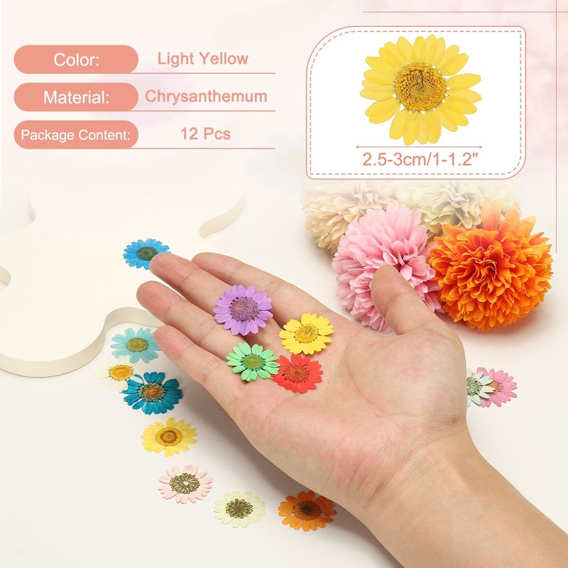 12Pcs Dried Pressed Flowers, Chrysanthemum Flowers for Nail Art, Light Yellow gallery