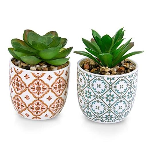 Artificial Plants Succulent Flowers in Ceramic Planter 2 Pack Small Red & Blue