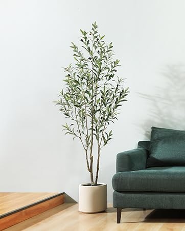 Lomanto Artificial Olive Trees 6 Ft Tall Fake Olive Trees For Indoor Faux Olive gallery